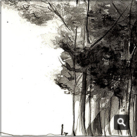Shop Landscapes