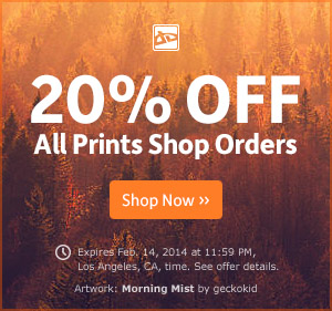 20 Percent Off all prints shop orders