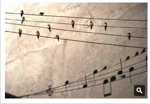 Music is everywhere by Darthko