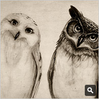 The Owls Three by IsaiahStephens