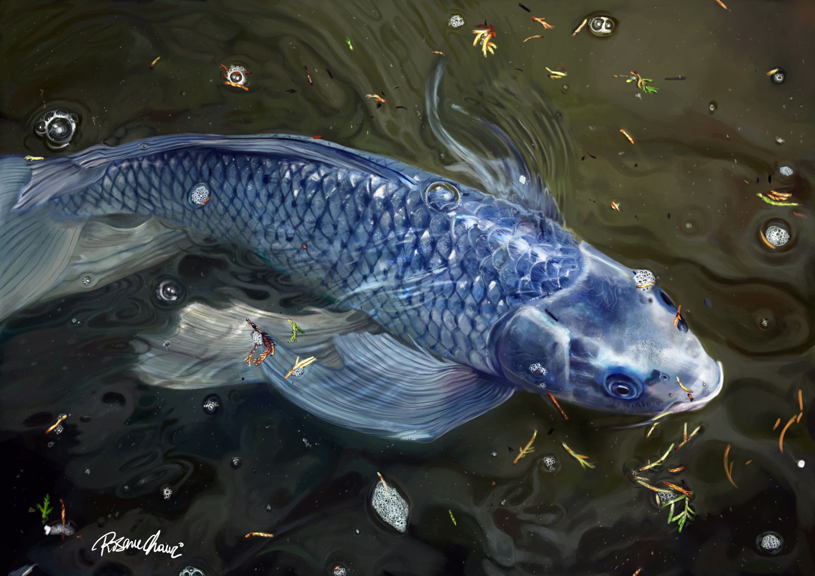 collection nature s show fish by techgnotic on deviantart collection nature s show fish by techgnotic on deviantart