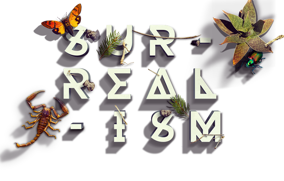 Surrealism