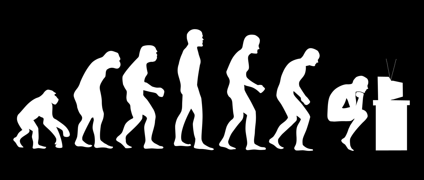 Charles Darwin Evolution Chart